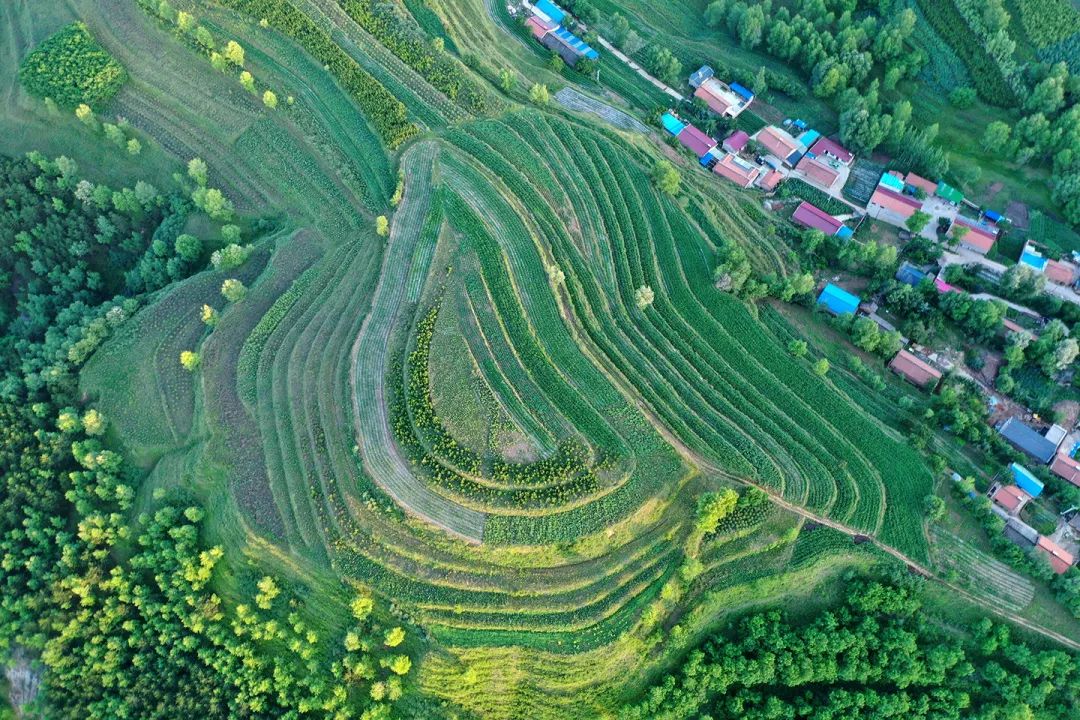 生態(tài)系統(tǒng)健康和管理——加強(qiáng)生態(tài)技術(shù)和工程管理，促進(jìn)生態(tài)系統(tǒng)健康發(fā)展